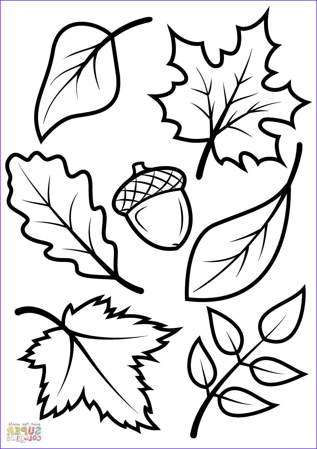 42 Coloring Page Leaves #fensterbilderherbstvorlagen Fine Coloring Page