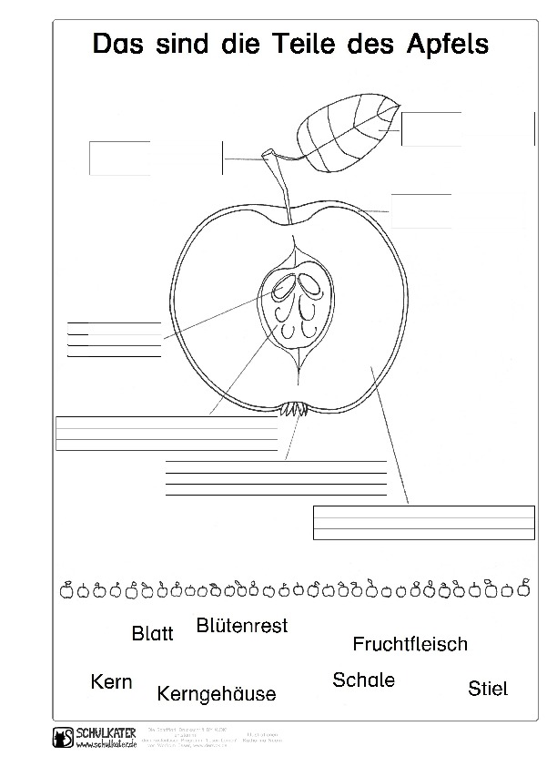 Apfel-Aufbau Archive - Blog | Bildung leben mit innovativem