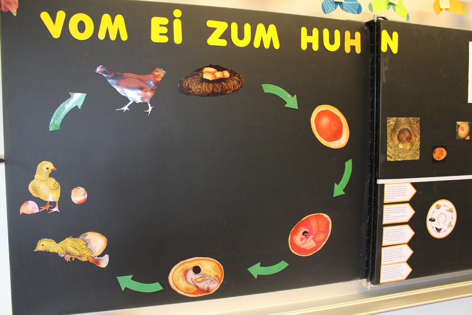 Vom Ei zum Huhn: Teil 3 – Klassenkunst