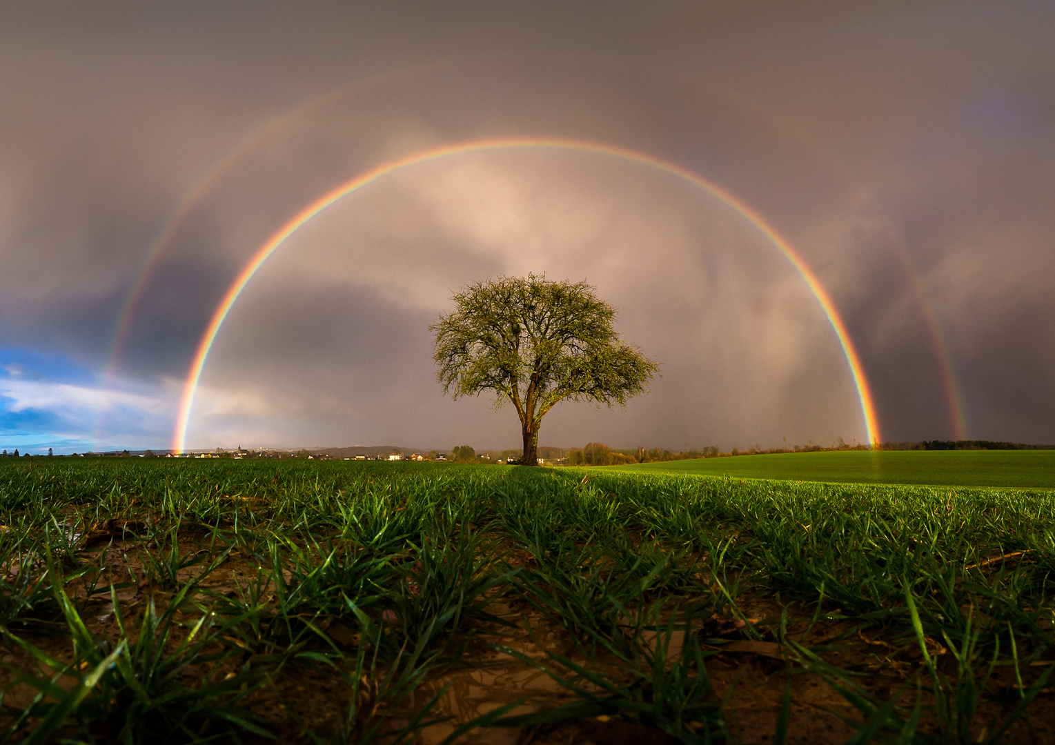 Victoria's Regenbogen Foto & Bild | regenbögen, wetter, baum Bilder auf