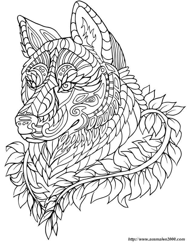 ausmalbild Du denkst ich bin der Wolf Adult Coloring Pages, Paisley