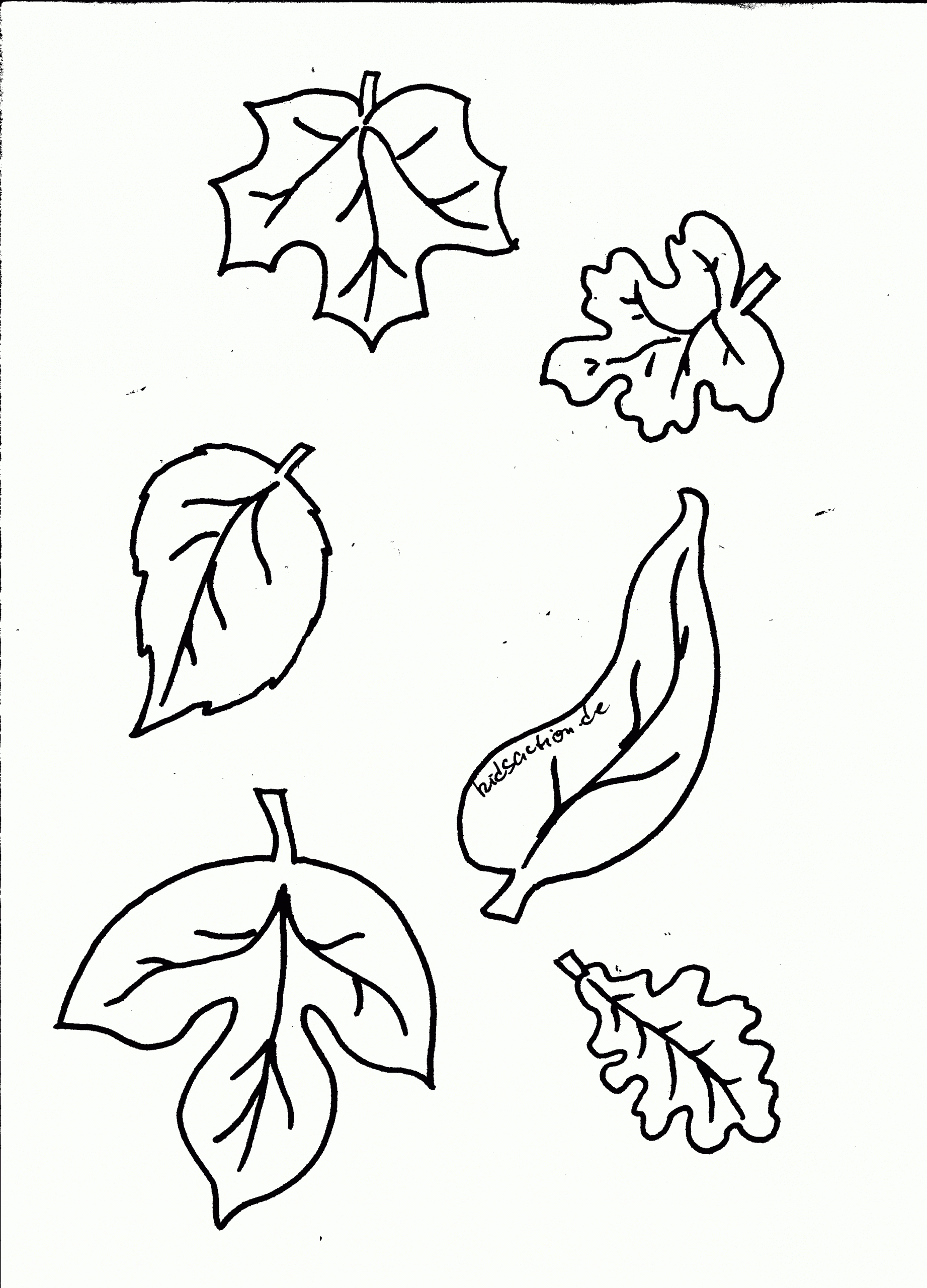 Malvorlagen Herbst Blätter Ausdrucken - kinderbilder.download