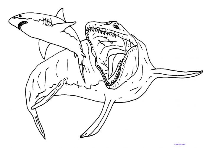 Mosasaurus Printable Coloring Pages - EmelyaxDyer