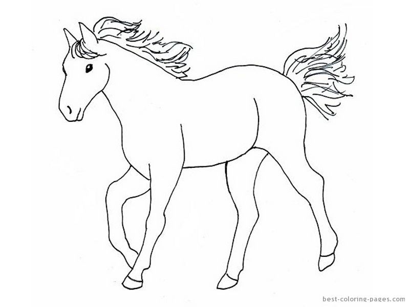 Horse Template | Easy horse drawing, Horse drawings, Horse coloring pages