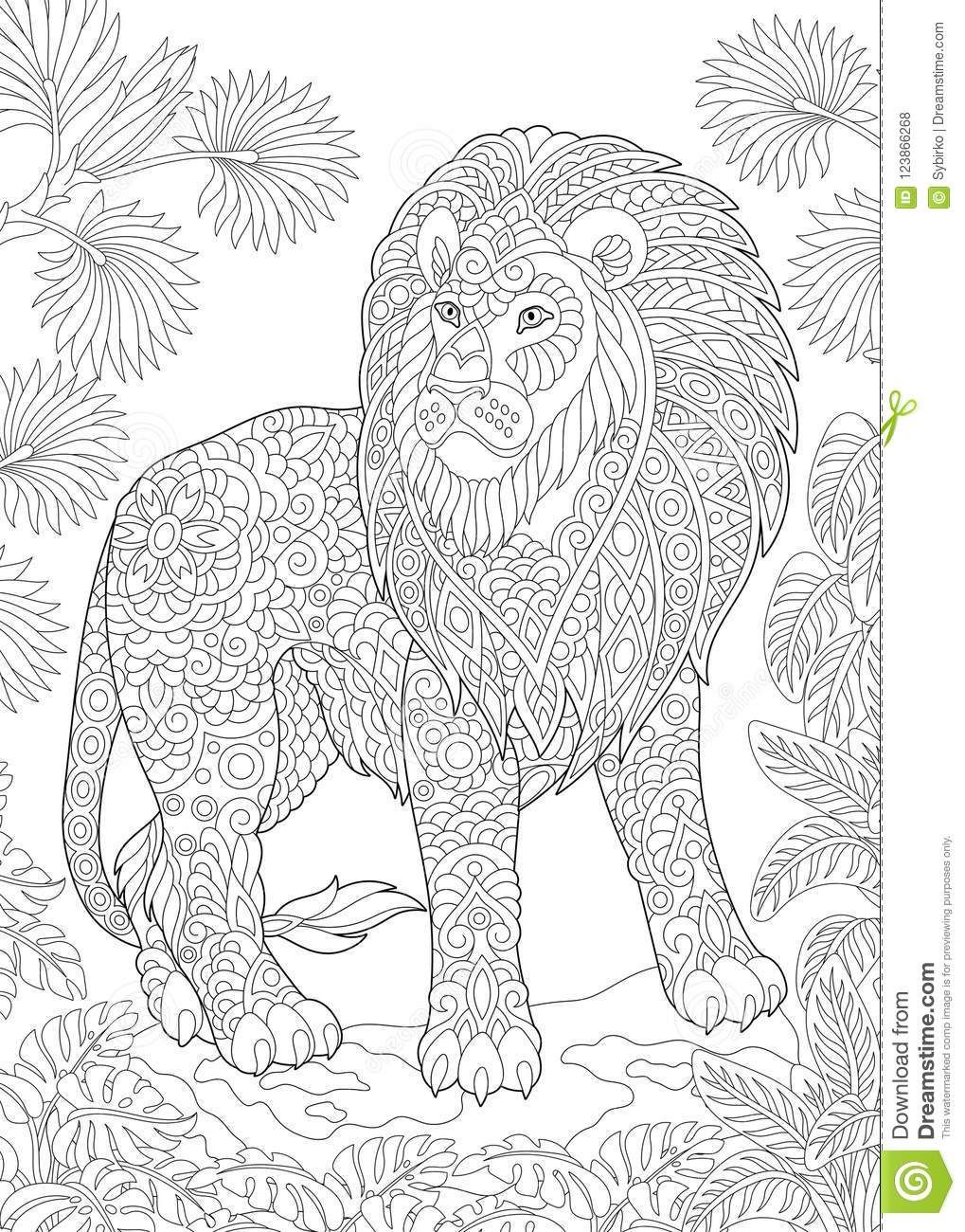 Pin on coloring lion, tiger