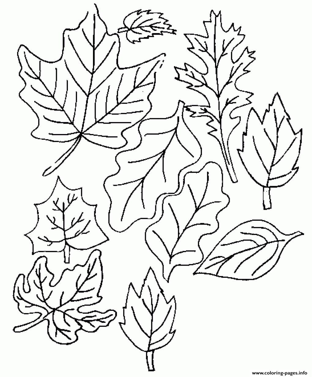 Flower Leaves Coloring page Printable