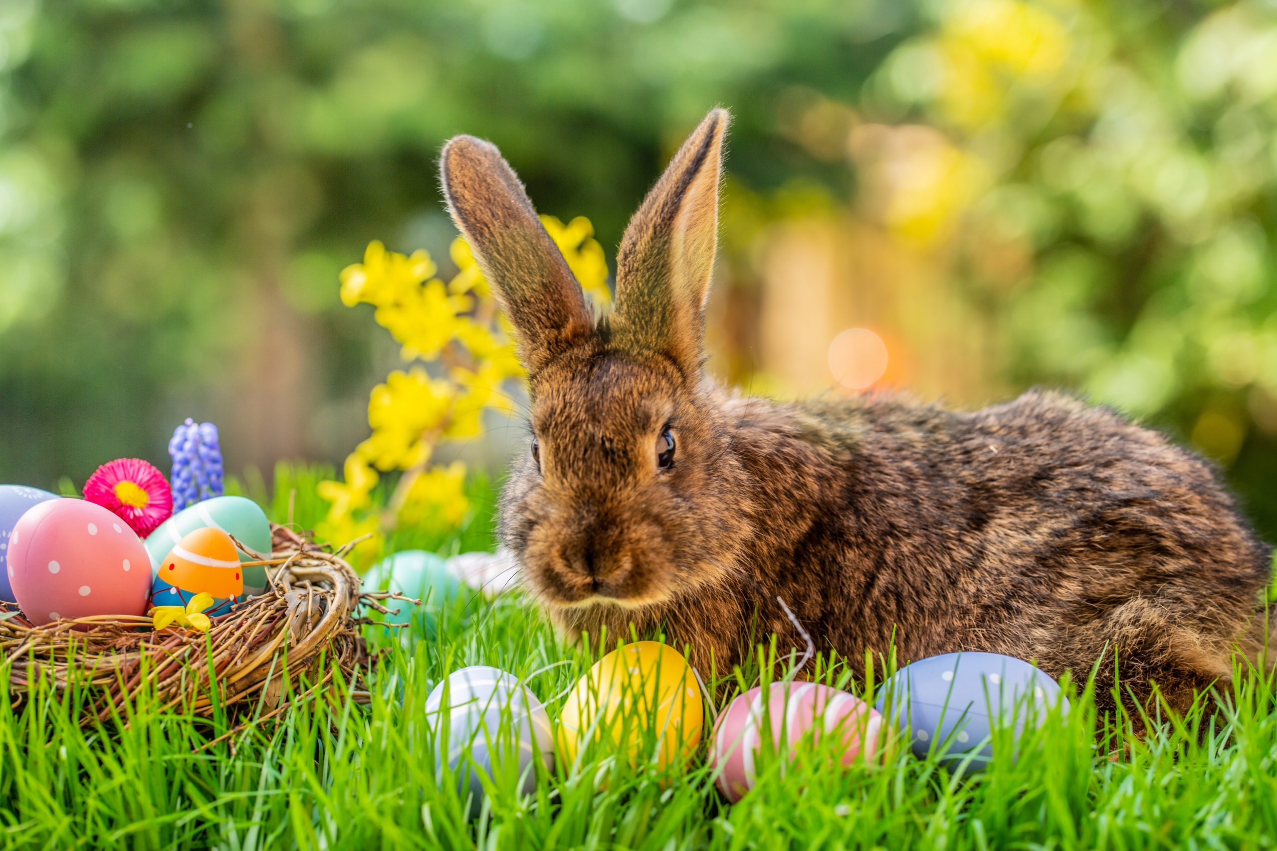 Frohe Ostern - Steirischer Bauernbund