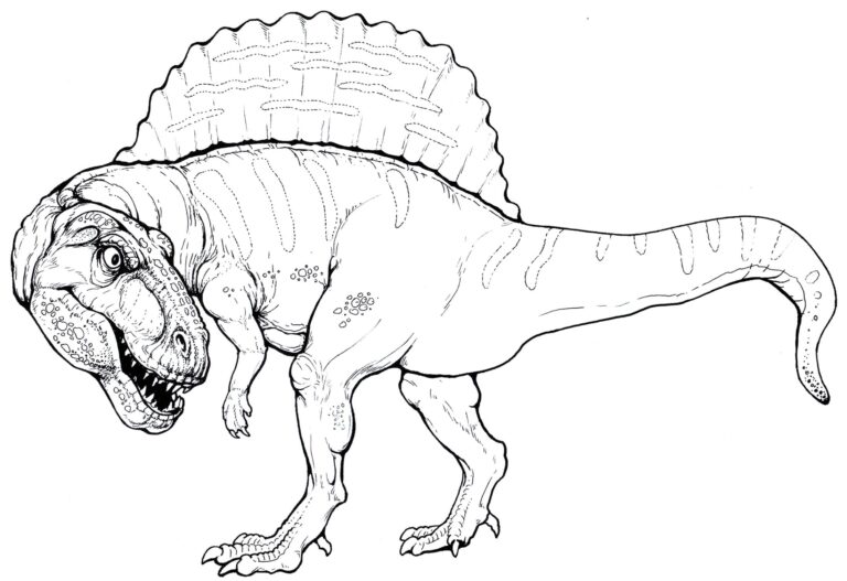 Coloriage Spinosaurus. Téléchargez ou imprimez gratuitement