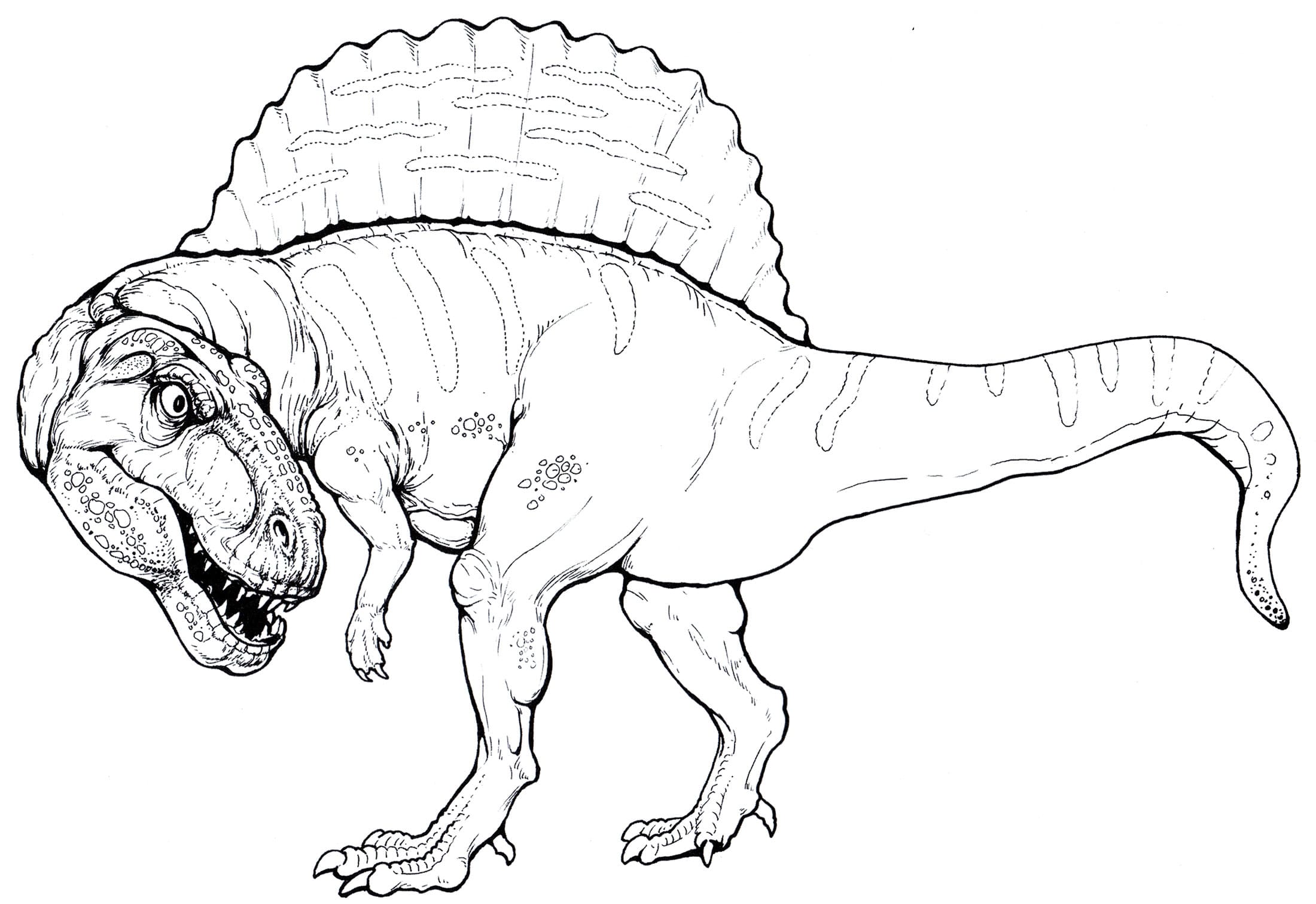 Spinosaurus Ausmalbild