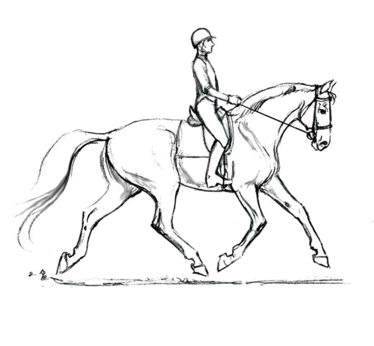 Dressage Horse Coloring Pages at GetColorings.com | Free printable