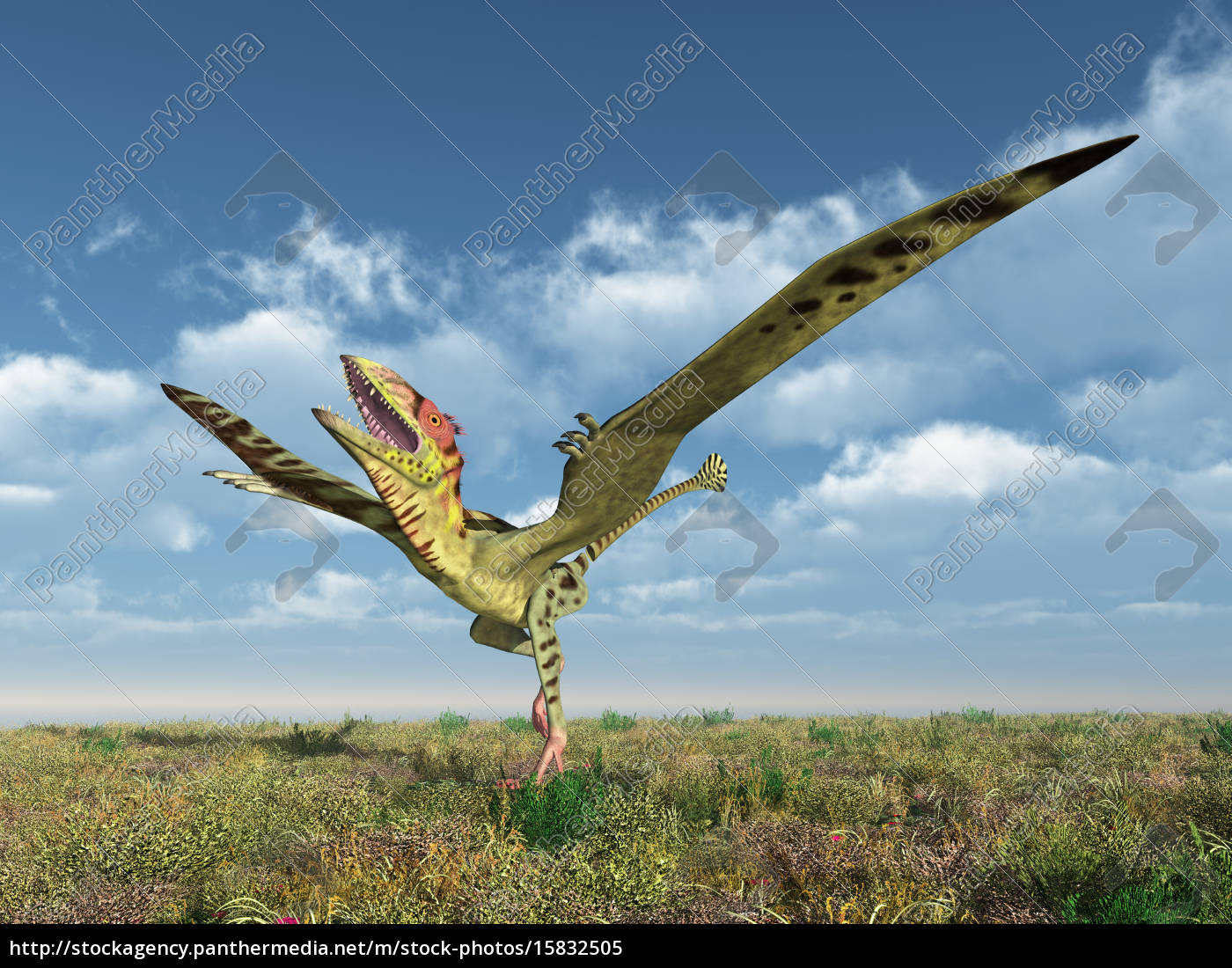 Flugsaurier Peteinosaurus - Lizenzfreies Bild - #15832505 | Bildagentur