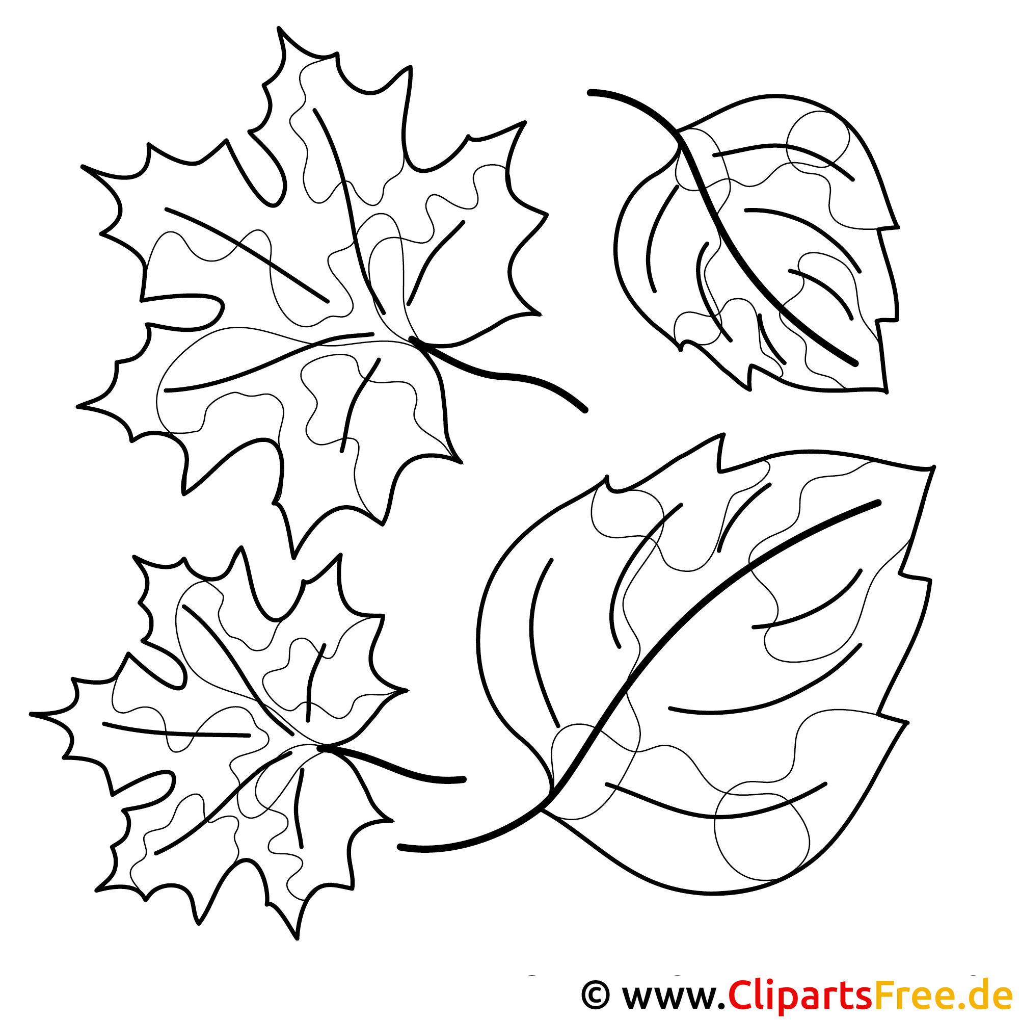 Coloriages d'automne gratuits - feuille d'érable, feuille de bouleau