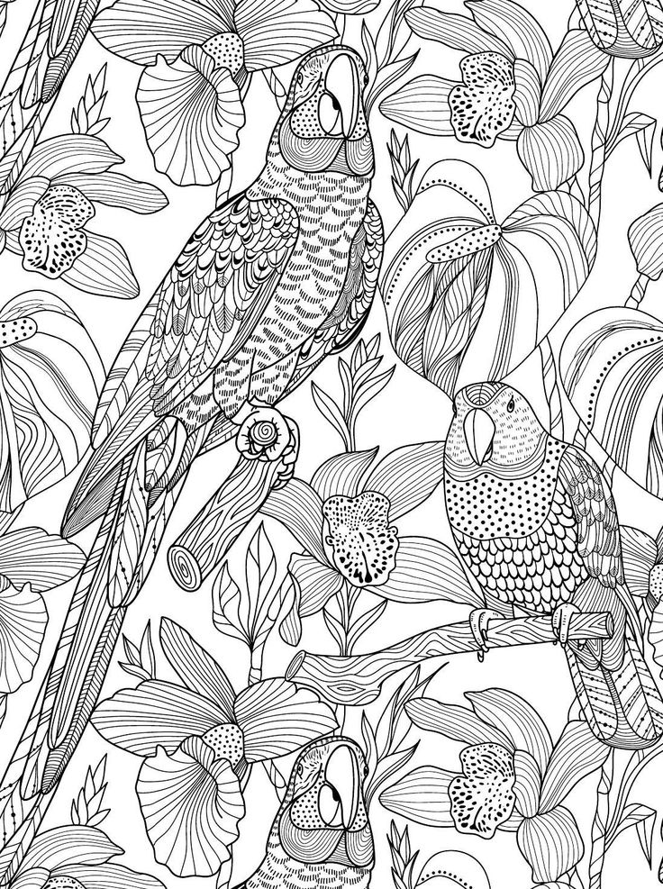 Pin on Coloring pages for adults - Free Printables