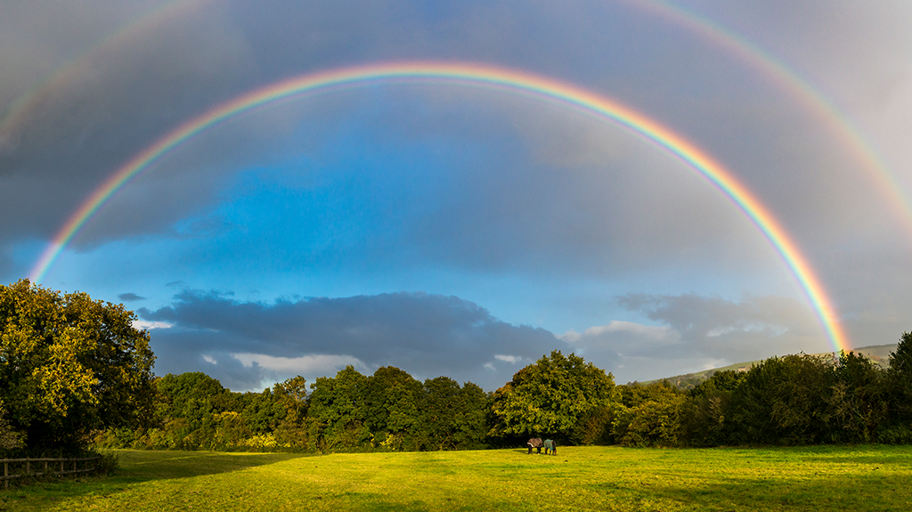 Regenbogen-Wunder: Dinge, die ihr über das Naturphänomen noch nicht wusstet