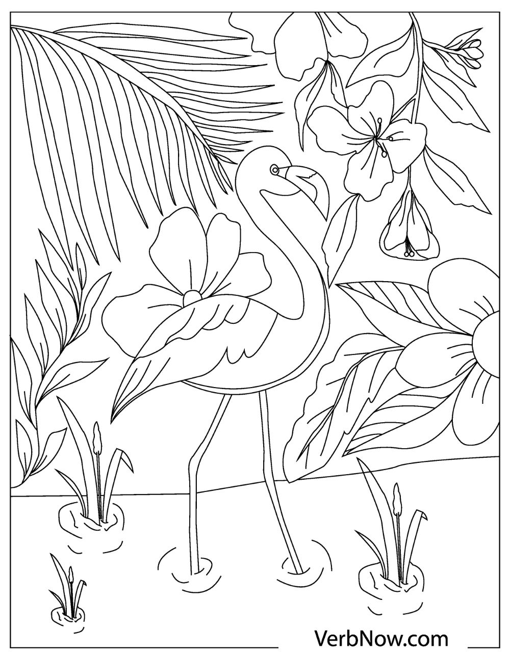 Free Flamingo Coloring Pages for Download (Printable PDF) - VerbNow