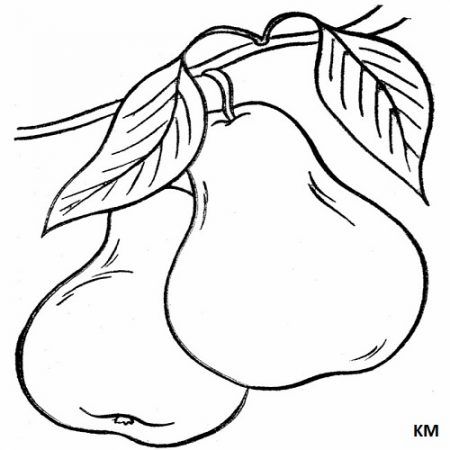 Birne Ausmalbilder-1 | Fruit coloring pages, Coloring pages, Fruits drawing