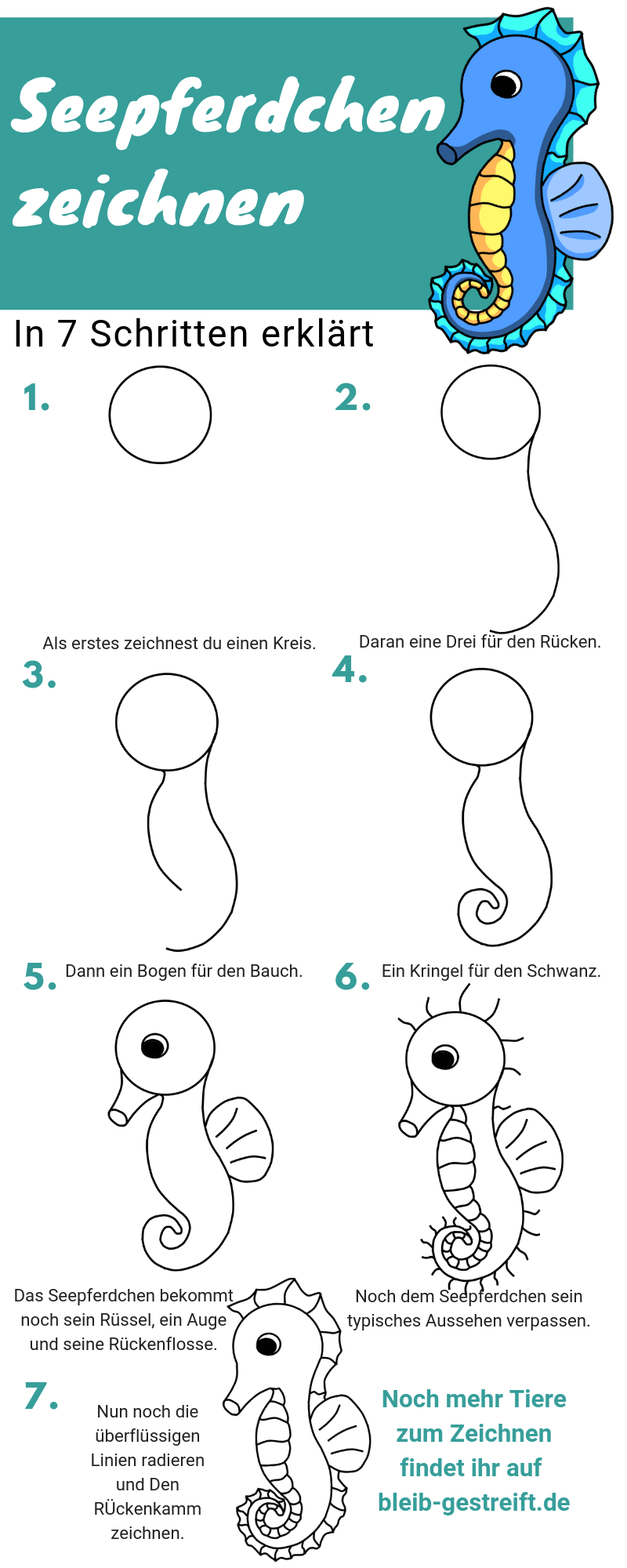 Seepferdchen zeichnen lernen - eine Anleitung in nur 7 Schritten