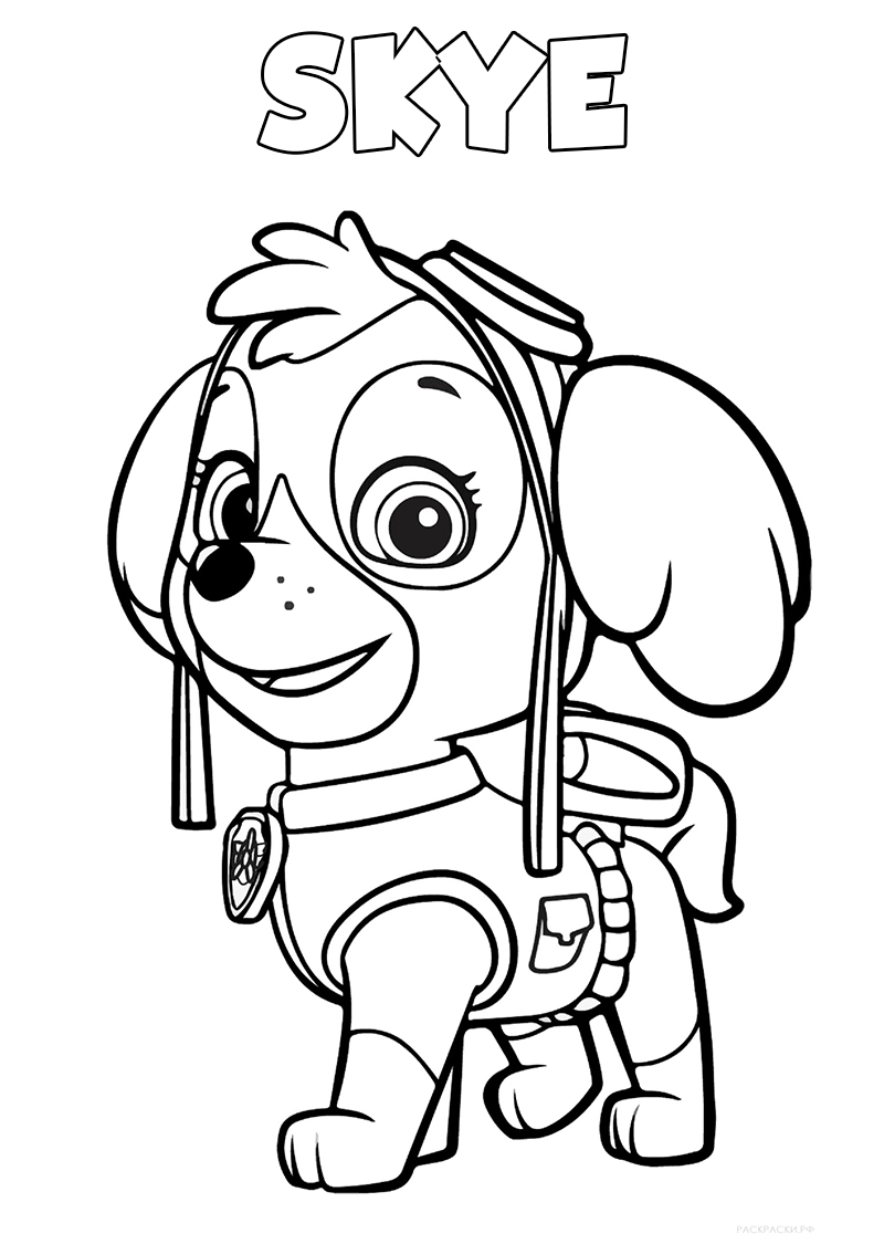 Paw Patrol Coloring Pages. 120 Pictures. Free Printable