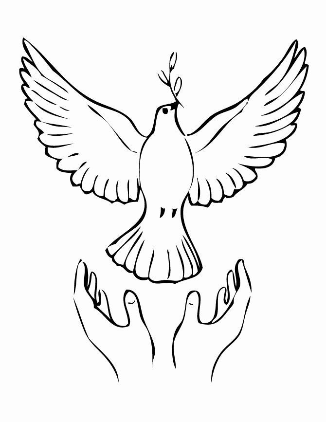 Dove Coloring Pages | Vogel malvorlagen, Malvorlagen tiere, Vögel zeichnen