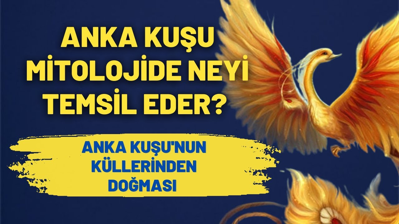 Anka Kuşu Mitolojide Neyi Temsil Eder? Anka Kuşu&amp;#039;Nun Küllerinden ile Rüyada Tuvalet Neyi Temsil Eder