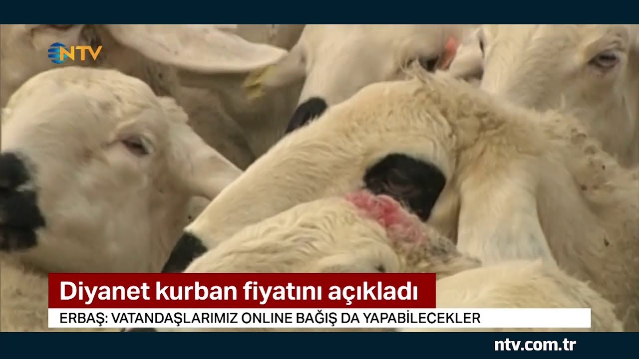 Diyanet Kurban Fiyatlarını Açıkladı - Youtube fiçin Rüyada Sokak Süpürmek Diyanet