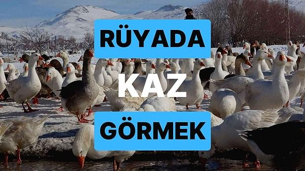 Ece Erken Akın Altan&amp;#039;I Tokatladı ile Rüyada Kaz Sürüsü Görmek