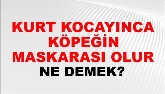 Kurt Kocayınca Köpeğin Maskarası Olur Ne Demek? Kurt Kocayınca Köpeğin içeride Rüyada Köpeğin Isırmaya Çalışması Ne Demek