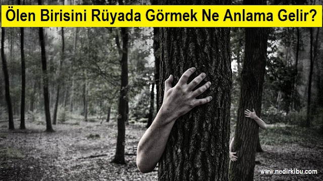 Ölen Birisini Rüyada Görmek Ne Anlama Gelir, Rüyada Ölen Birisini Canlı içeride Rüyada Ölmüş Babayı Canlı Görmek Ne Anlama Gelir