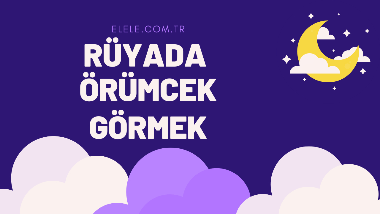 Örümcek Görmek Rüya Tabiri: Rüyada Örümcek Görmek Ne Anlama Gelir? tamamen Rüyada Örümcek Görüp Korkmak Ne Anlama Gelir