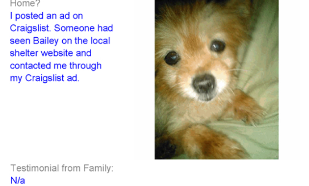 Pets On Craigslist Florida - Rteley amaçlanan Craigslist Space Coast