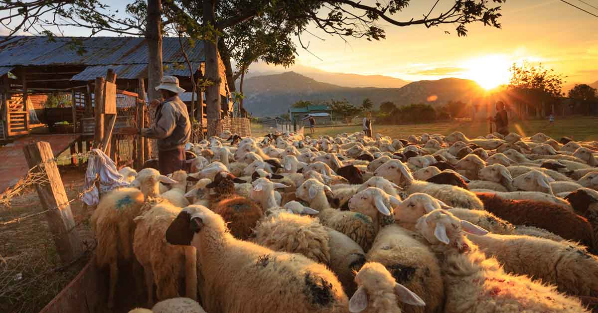 Rüyada Ahır Görmek Ne Anlama Gelir? - Diyadinnet Rüya Tabirleri içeride Rüyada Taşındığını Görmek Ne Anlama Gelir