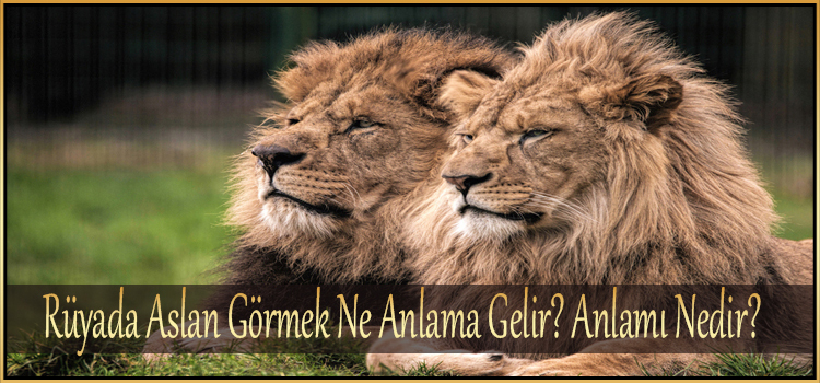 Rüyada Aslan Görmek Ne Anlama Gelir? Anlamı Nedir? - Ilahirahmet Islami fiçin Rüyada Kuru Sarımsak Görmek Ne Anlama Gelir