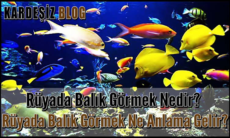 Rüyada Balık Görmek Nedir? Rüyada Balık Görmek Ne Anlama Gelir? içeride Rüyada Tüfek Görmek Nedir