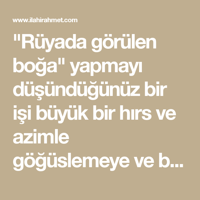 Rüyada Boğa Görmek Ne Anlama Gelir? Anlamı Nedir? | Dualar, Işaretler ile Rüyada Kazın Kovaladığını Görmek