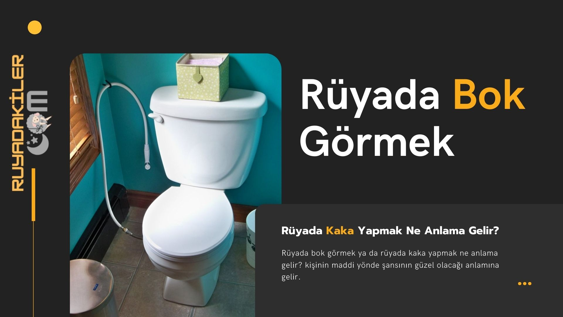 Rüyada Bok Görmek | Rüyada Kaka Yapmak | Rüya Tabirleri tamamen Ruyada Üstüne Kaka Bulaşması Ne Anlama Gelir