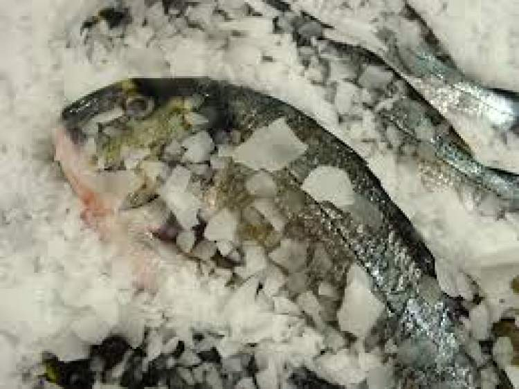 Rüyada Buzlu Balık Görmek - Ruyandagor amaçlanan Rüyada Japon Balık Görmek Ne Anlama Gelir