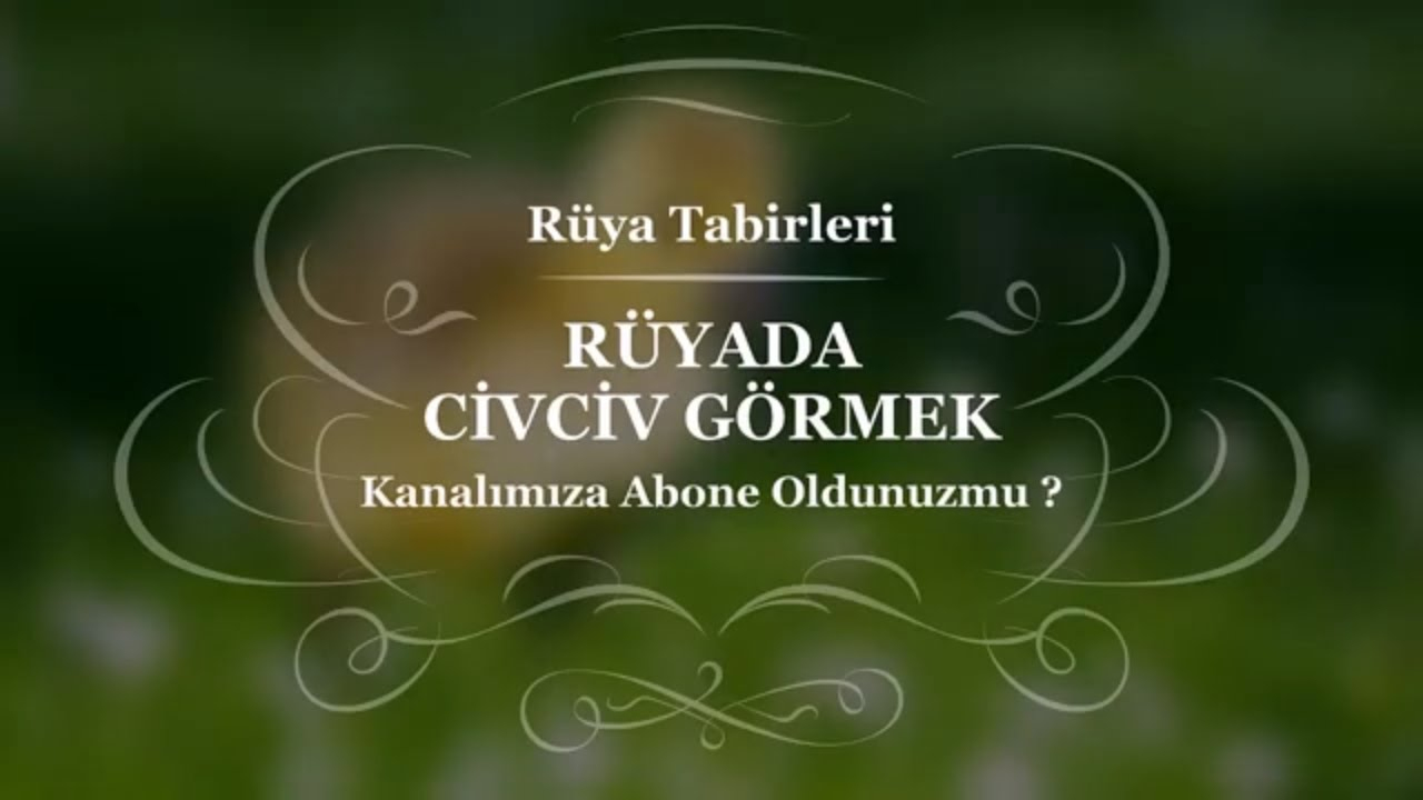 Rüyada Civciv Görmek, Sevmek, Sürüsü, Beslemek Tabiri Ve Yorumuz | Rüya içeride Rüyada Kaz Sürüsü Görmek