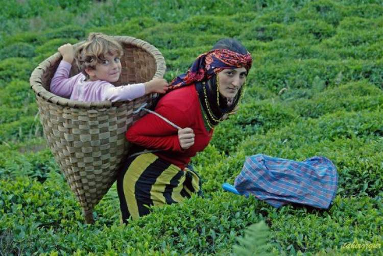 Rüyada Evde Çay Demlemek - Ruyandagor amaçlanan Rüyada Misafire Çay Demlemek Ne Anlama Gelir