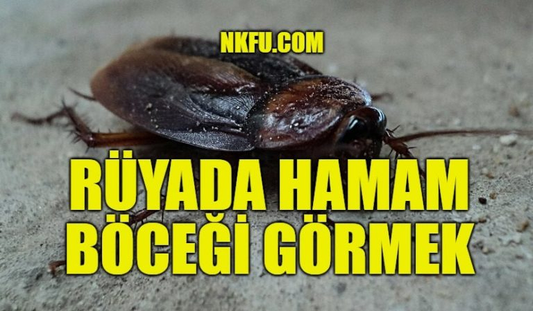 Rüyada Hamam Böceği Görmek Ne Anlama Gelir? Öldürmek Nedir? ile Rüyada Uğur Böceği Görmek