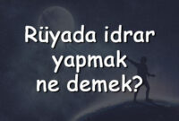 Rüyada Idrar Yapmak Ne Demek? Rüyada Idrar Görmek Ve Temizlemek Tabiri ilgili Rüyada Üstüne Idrar Sıçratmak Ne Anlama Gelir