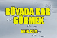 Rüyada Kar Görmek Ne Anlama Gelir? Kar Yağması Kartopu Nedir? içeride Rüyada Mevsimsiz Kar Görmek Nedir