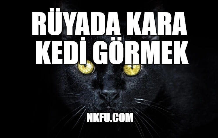 Rüyada Kara Kedi Görmek Ne Anlama Gelir? Kara Kedi Sevmek Yavrusu ile Rüyada Tasinmak Ne Anlama Gelir