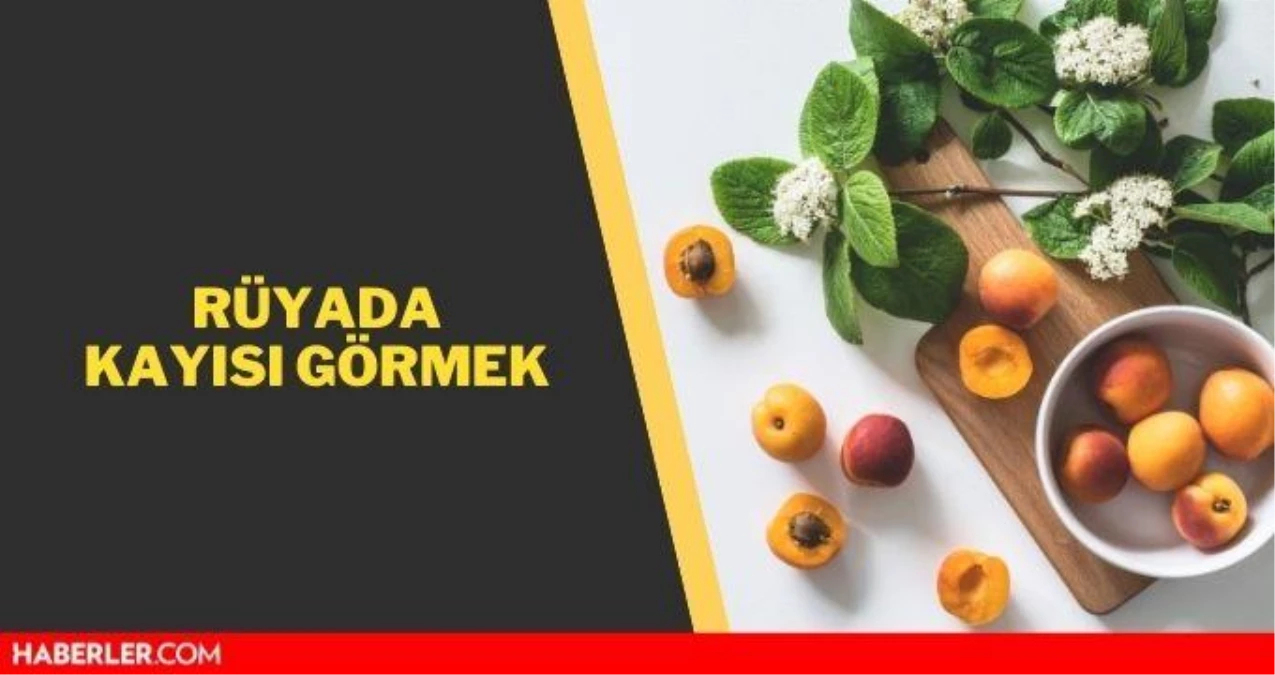 Rüyada Kayısı Görmek Anlamı Nedir? Rüyada Kayısı Ağacı Görmek Anlamı içeride Rüyada Patlıcan Görmek Nedir Diyanet