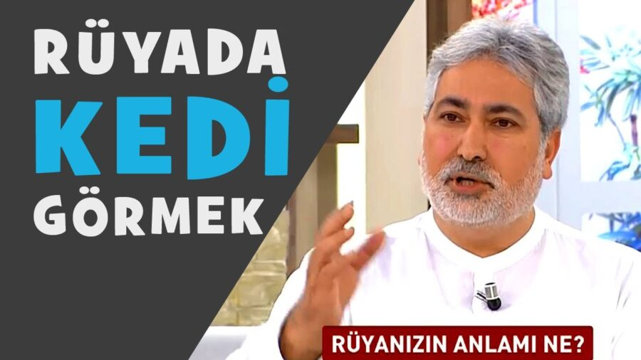 Rüyada Kedi Görmek - 1001Ruyatabiri amaçlanan Rüyada Kaza Yaptığını Görmek Diyanet