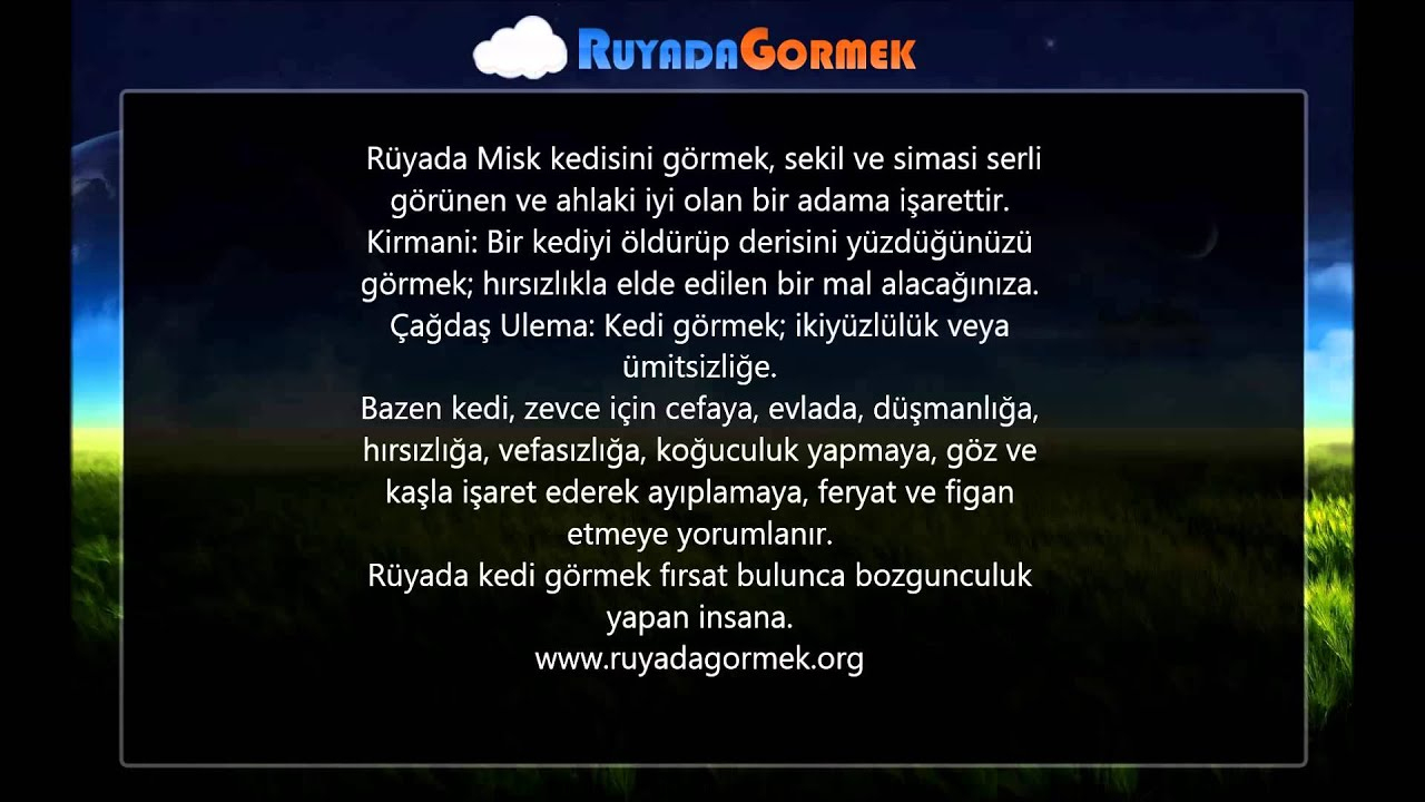 Rüyada Kedi Görmek Ne Anlama Gelir? - Youtube fiçin Rüyada Otobüs Görmek Ne Anlama