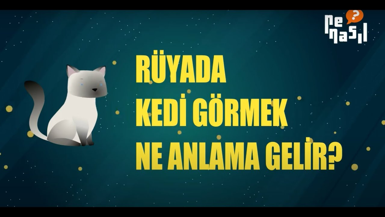 Rüyada Kedi Görmek Ne Anlama Gelir? - Youtube tamamen Rüyada Köpeğin Isırmaya Çalışması Ne Demek