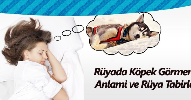 Rüyada Köpek Görmek Neye İşarettir? | Kombin Kadın amaçlanan Rüyada Köpek Yavrusu Almak