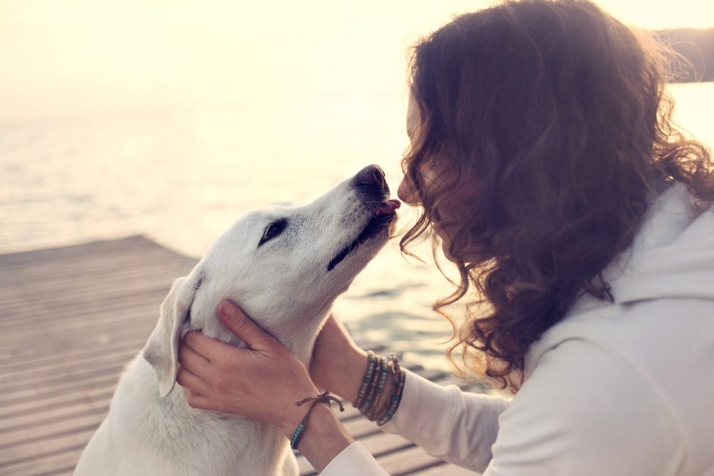 Rüyada Köpek Sevdiğini Görmek - Rüya Meali ile Rüyada Köpek Yavrusu Görmek