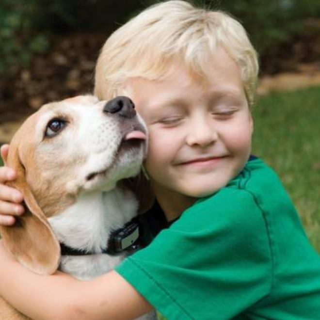 Rüyada Köpek Sevmek Ne Anlama Gelir? amaçlanan Rüyada Köpek Kovalaması Görmek Ne Anlama Gelir