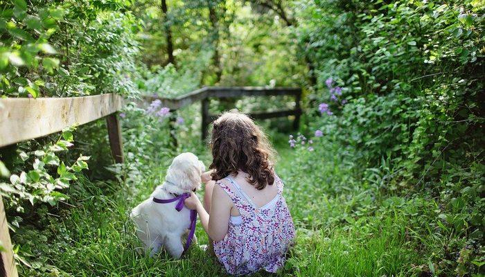 Rüyada Köpek Sevmek Ne Anlama Gelir? Rüyada Evde, Yavru, Küçük Köpek içeride Rüyada Köpek Kovalaması Görmek Ne Anlama Gelir